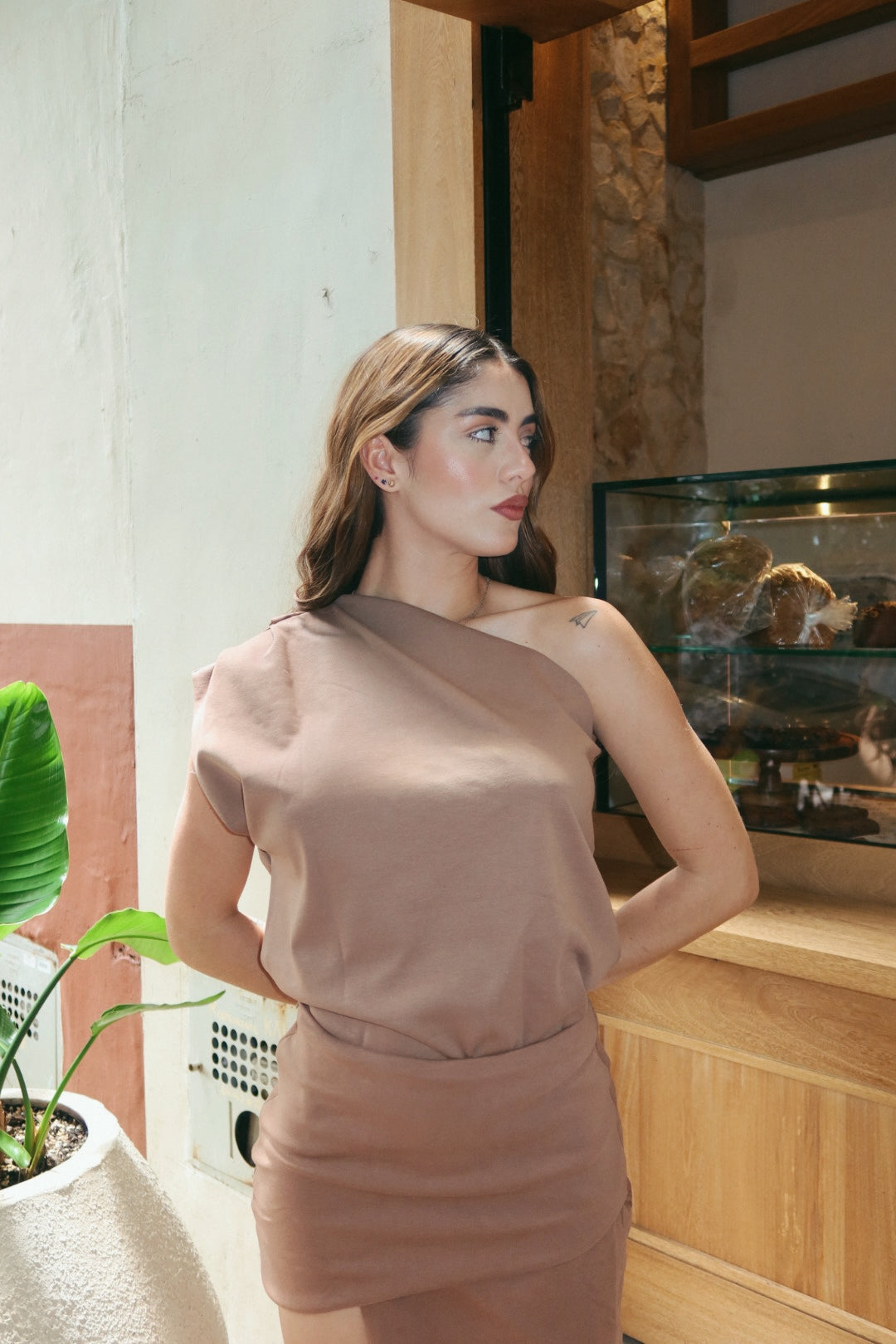 Asimetrica Dania Básica